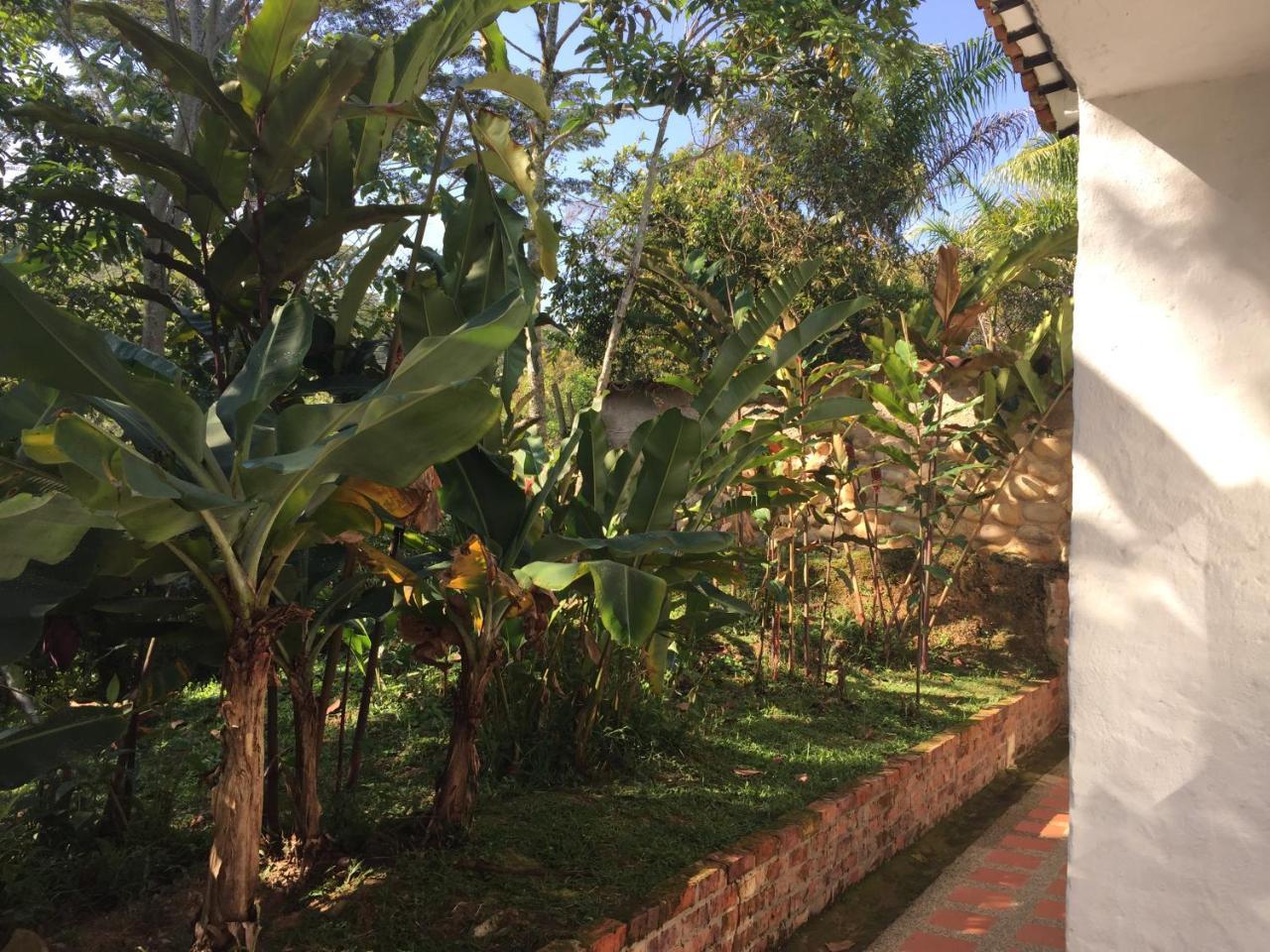 Hotel Casona Las Juanas San José de Pare Buitenkant foto
