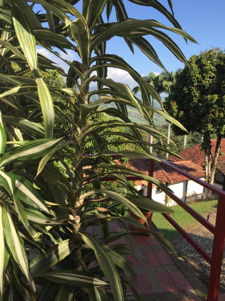 Hotel Casona Las Juanas San José de Pare Buitenkant foto